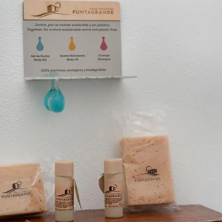 Lägenhet Puntagrande